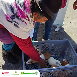 Ecuador: women empowered through livestock farming and agriculture-img2